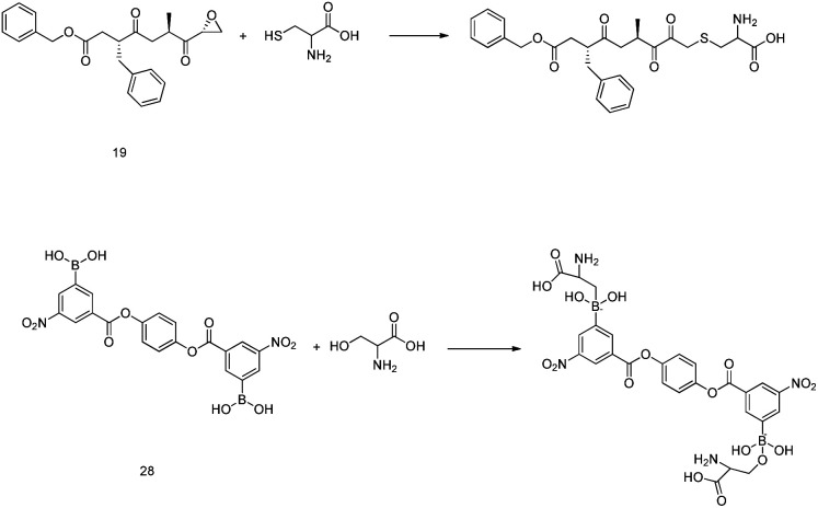 Fig. 10