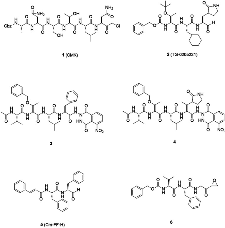 Fig. 2