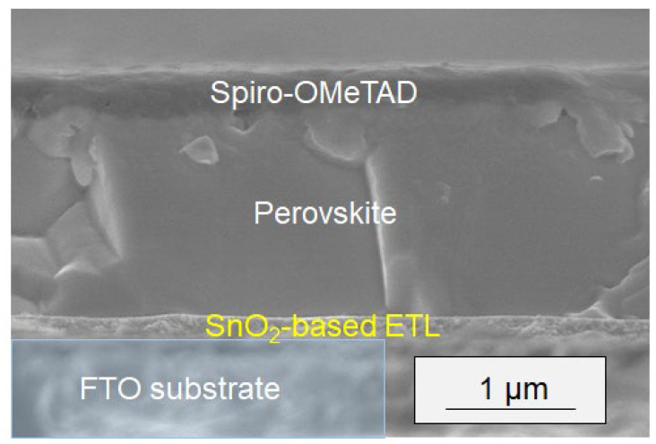 Figure 11