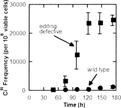 Figure 6.