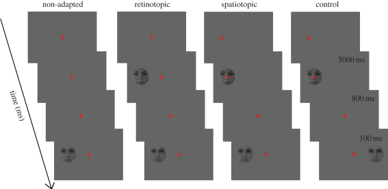 Figure 5.