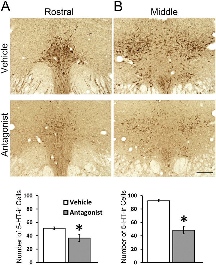 Figure 4: