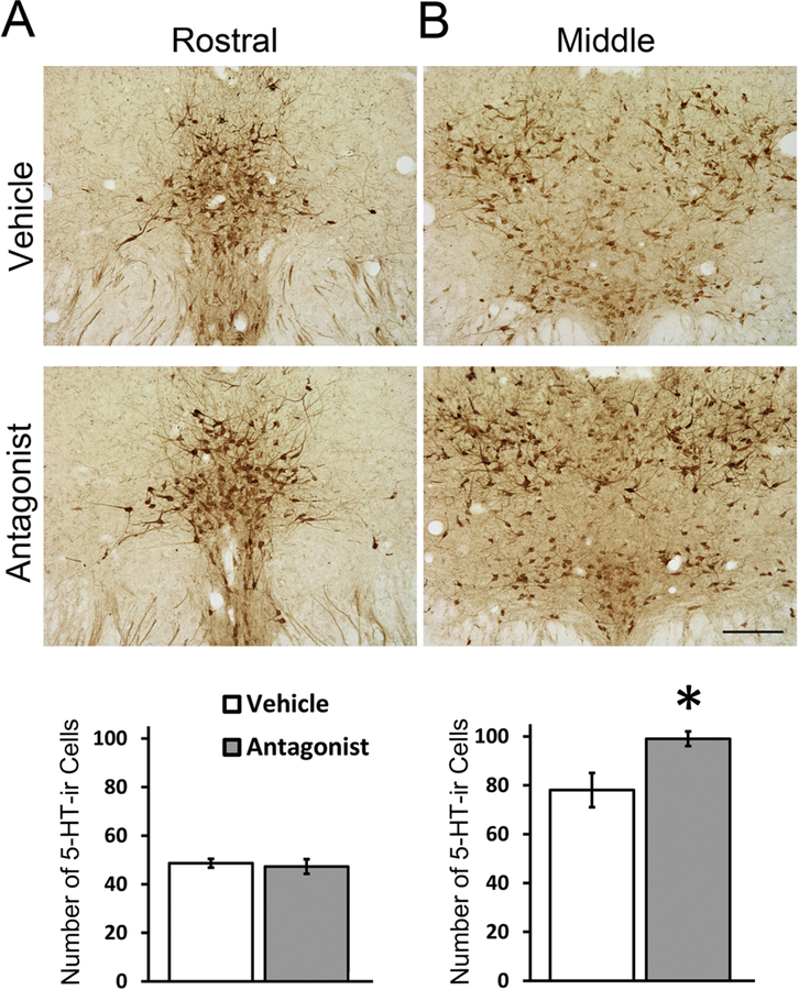 Figure 2: