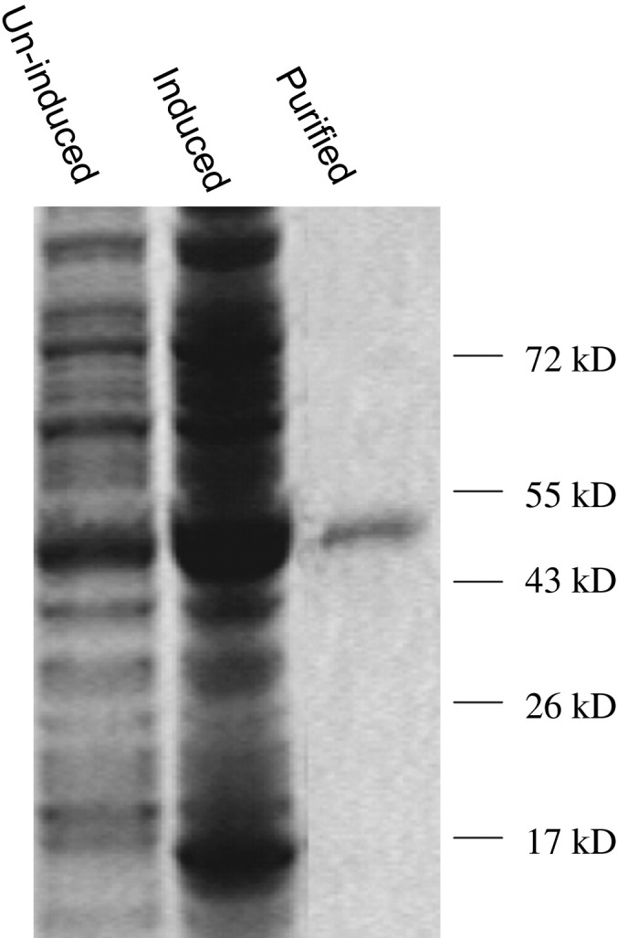 Fig. 2