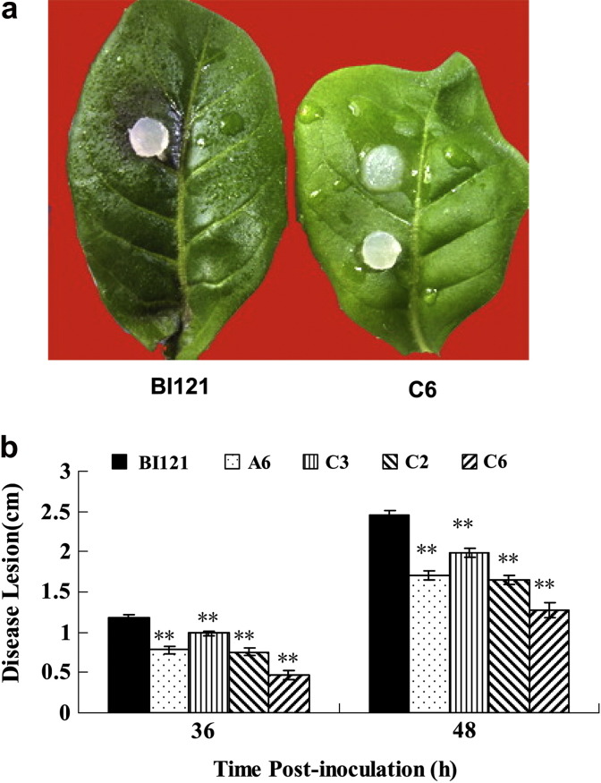 Fig. 6