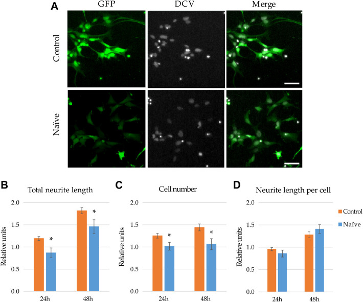 FIGURE 2