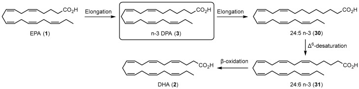 Scheme 5