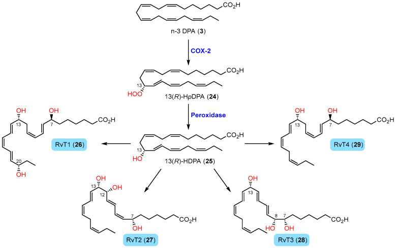 Scheme 4