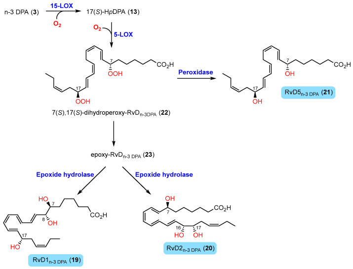 Scheme 3