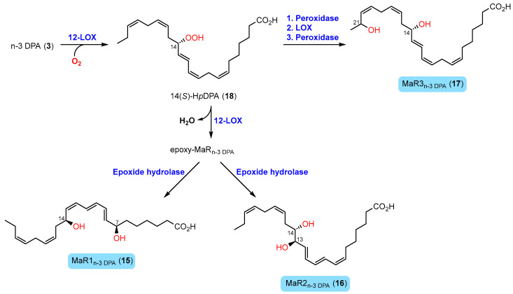 Scheme 2