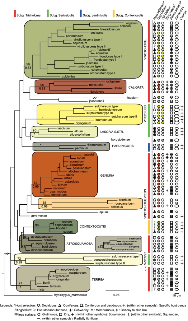 Fig. 2