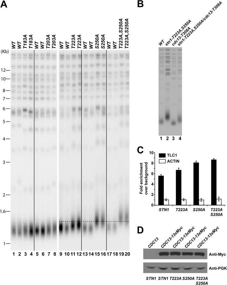 FIG 3