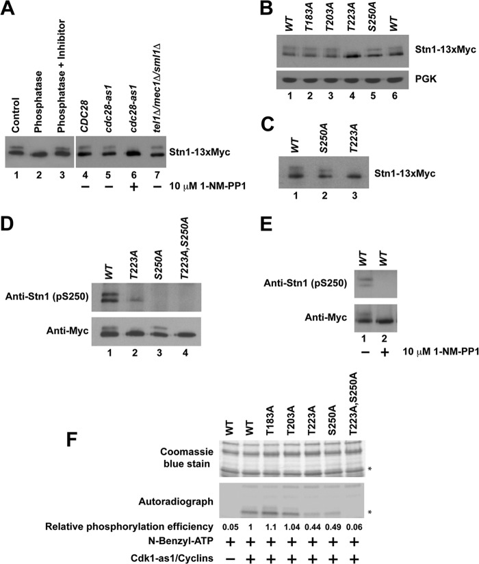 FIG 1