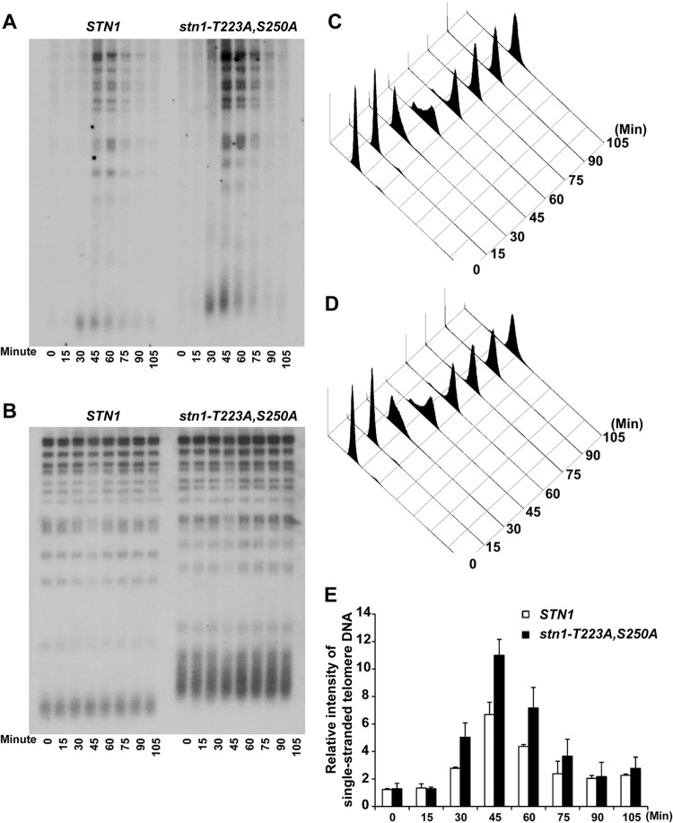 FIG 4