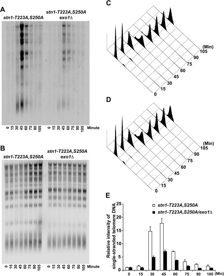 FIG 5