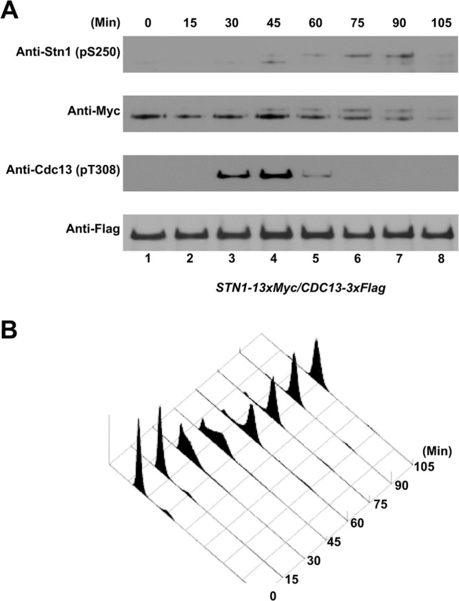 FIG 2