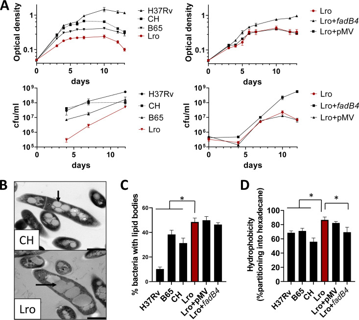 FIG 2