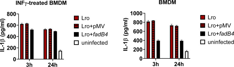 FIG 4