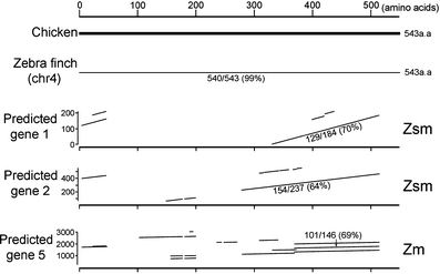 Fig. 12