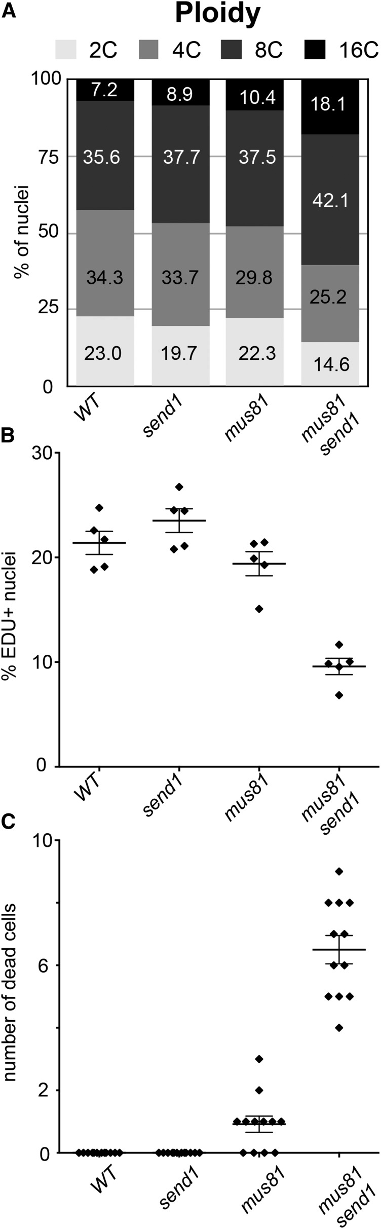 Figure 3.