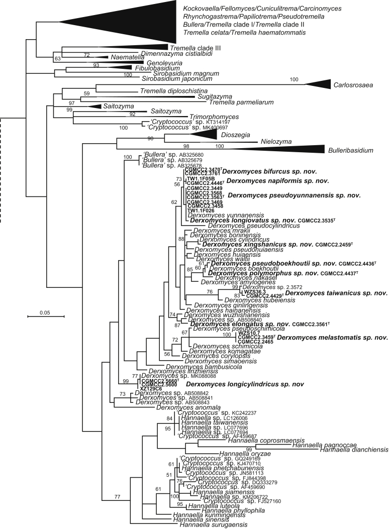 Fig. 3