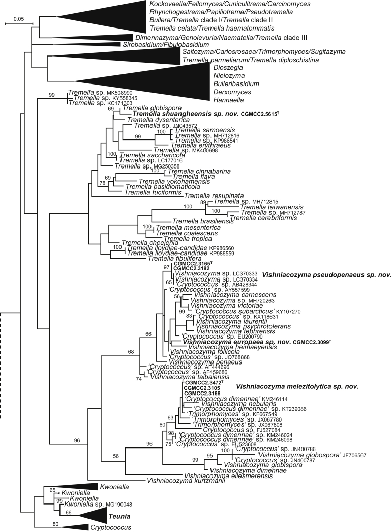 Fig. 3