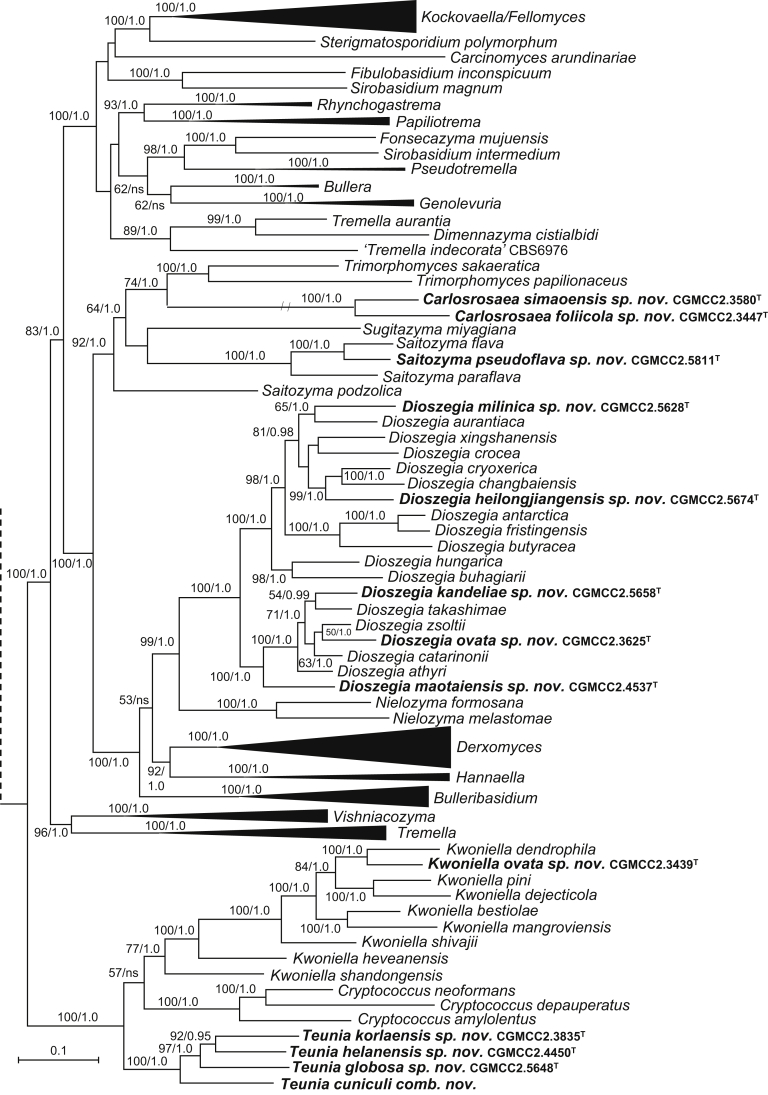 Fig. 2