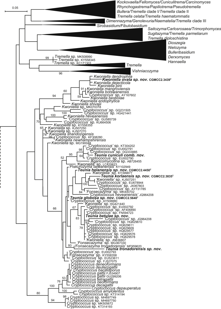 Fig. 3