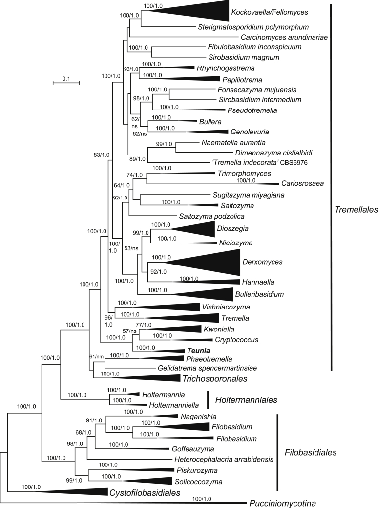 Fig. 2