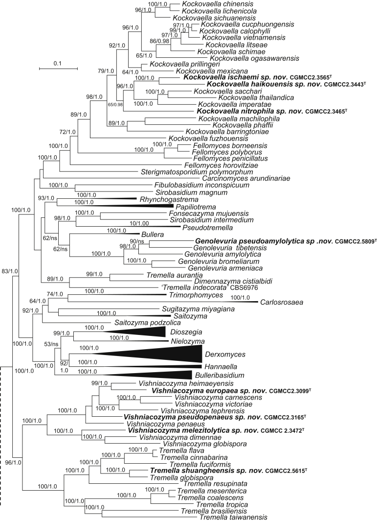 Fig. 2