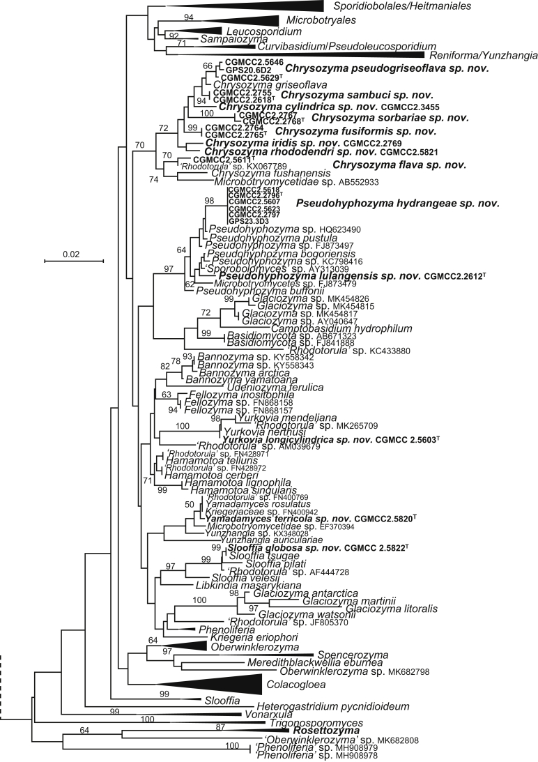 Fig. 5