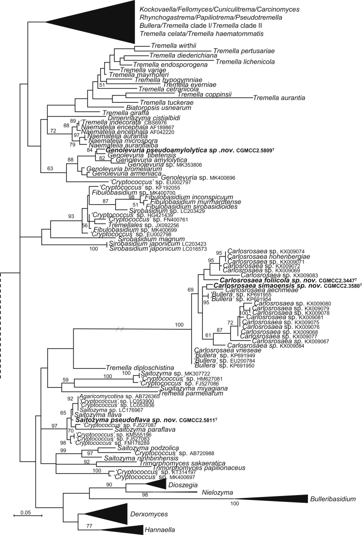 Fig. 3