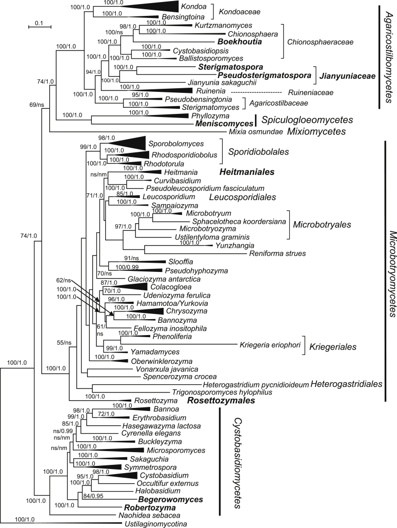 Fig. 4