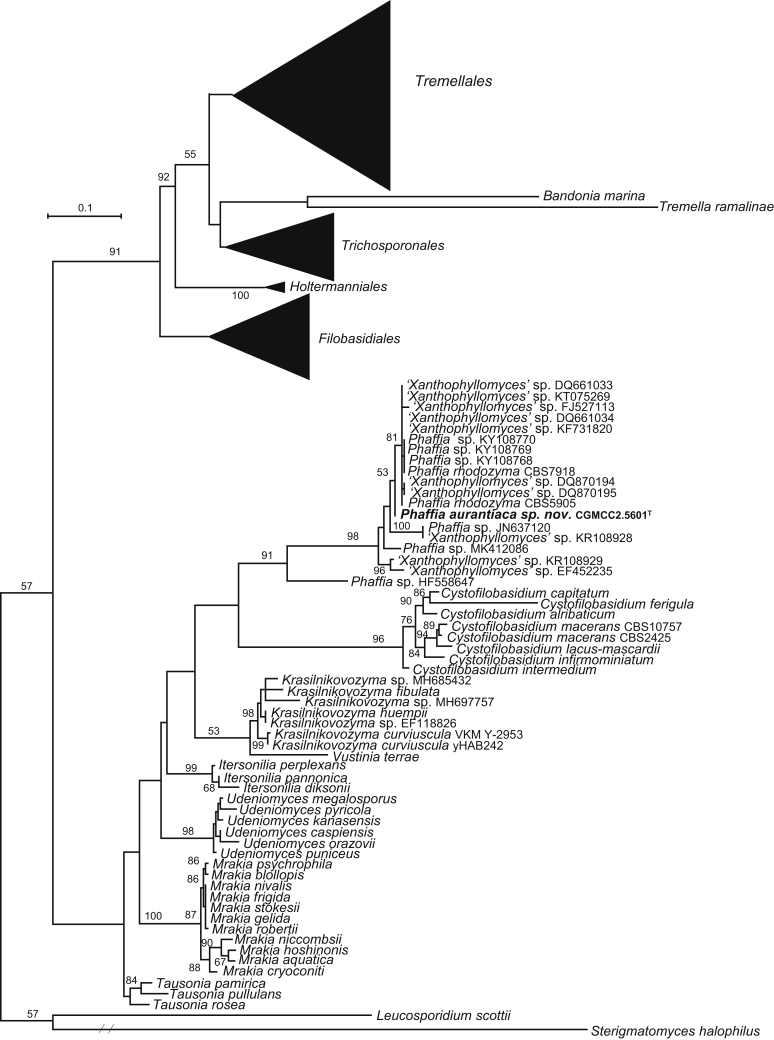 Fig. 3