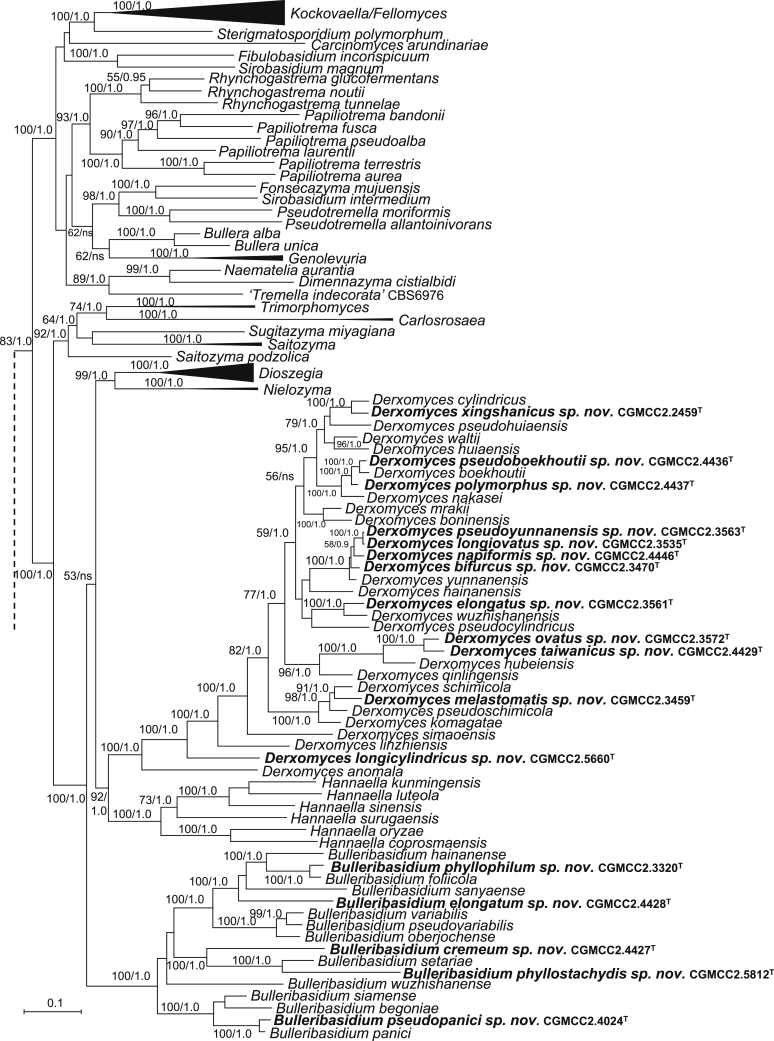 Fig. 2