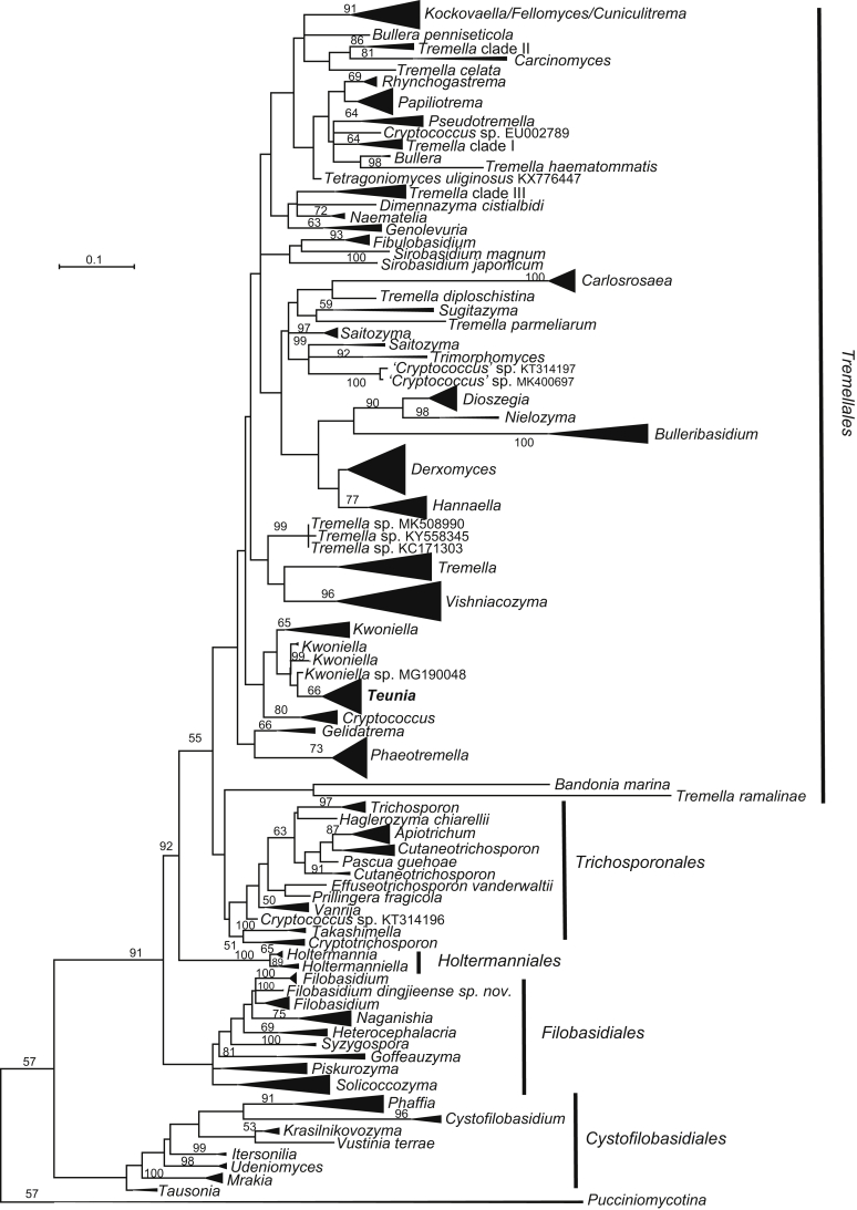 Fig. 3