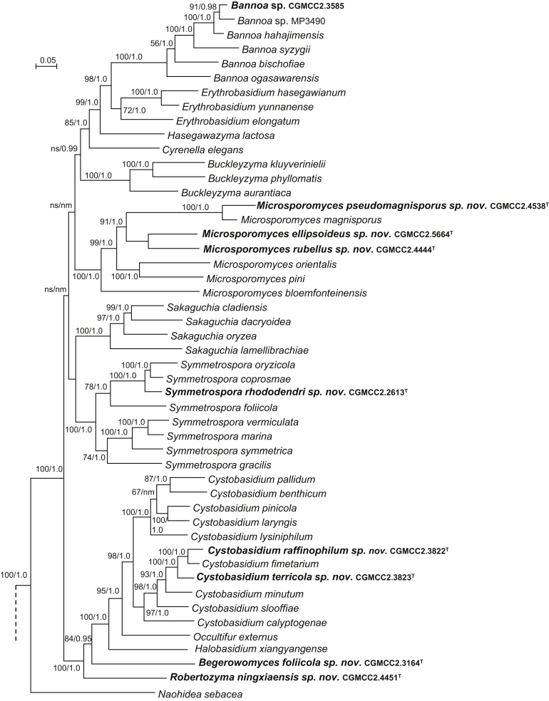 Fig. 4