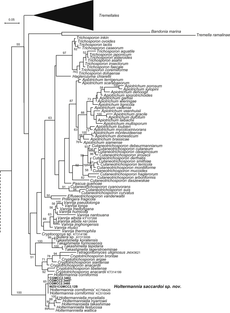 Fig. 3