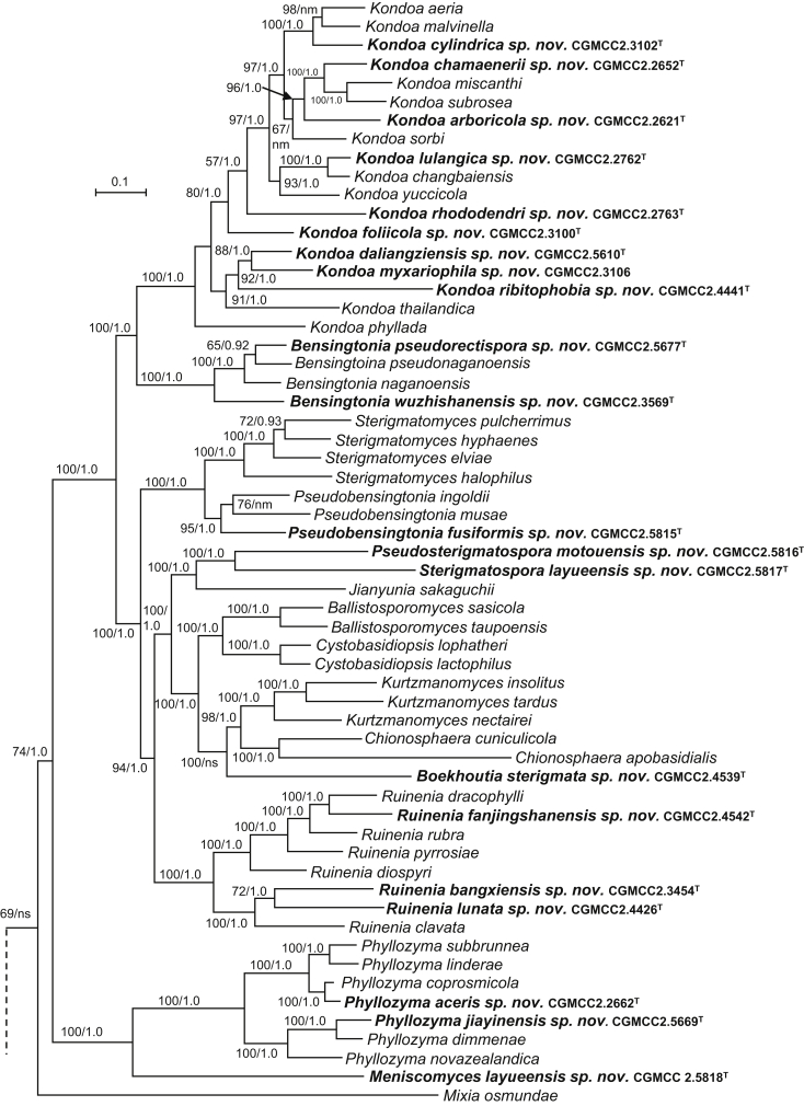 Fig. 4