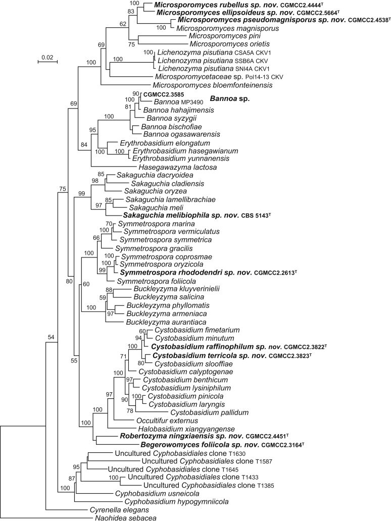 Fig. 6