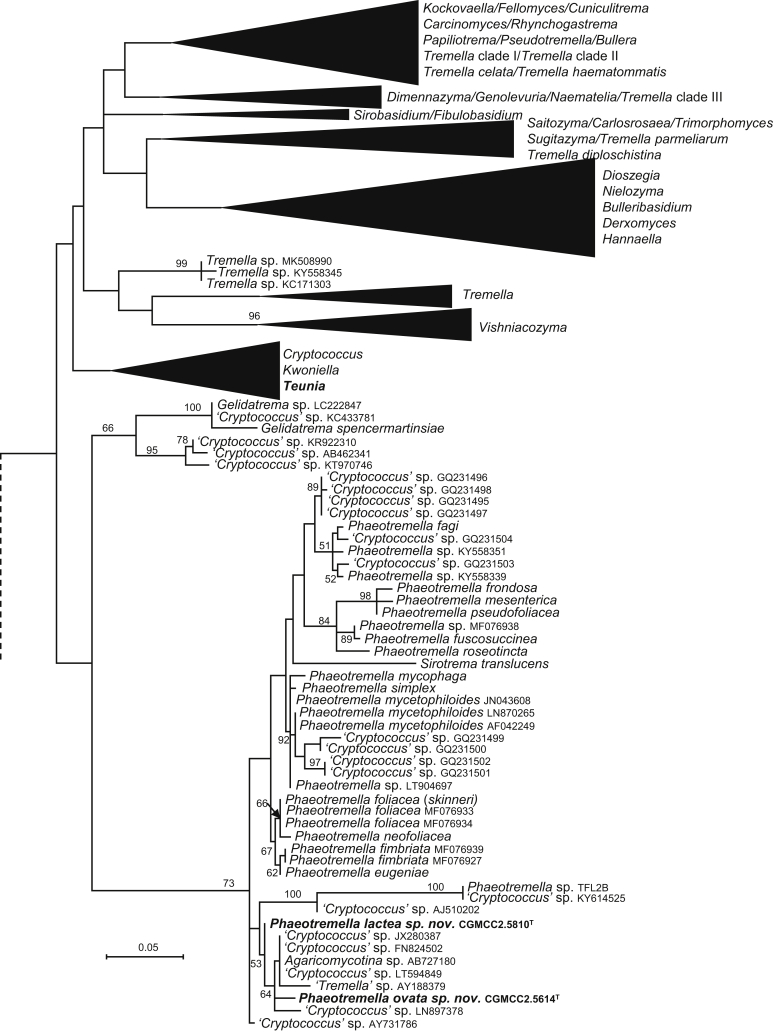 Fig. 3