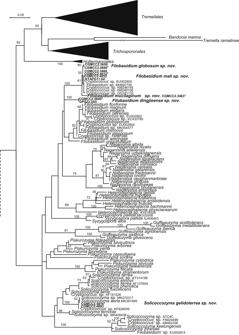 Fig. 3