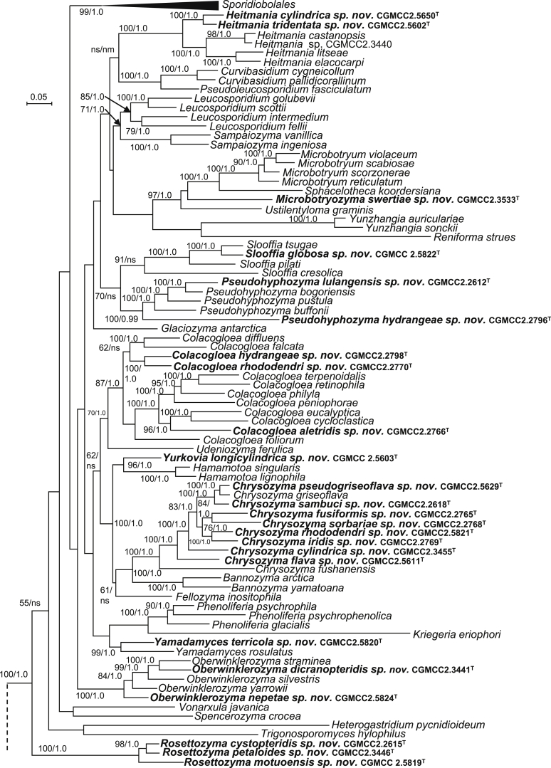 Fig. 4