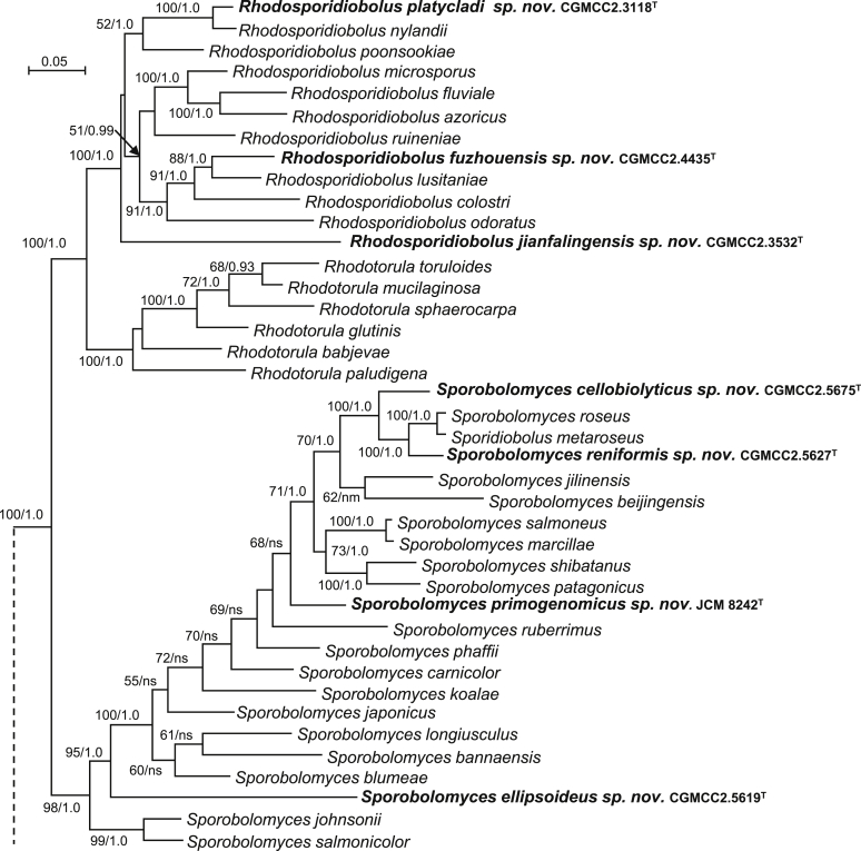 Fig. 4