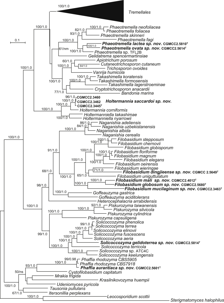 Fig. 2