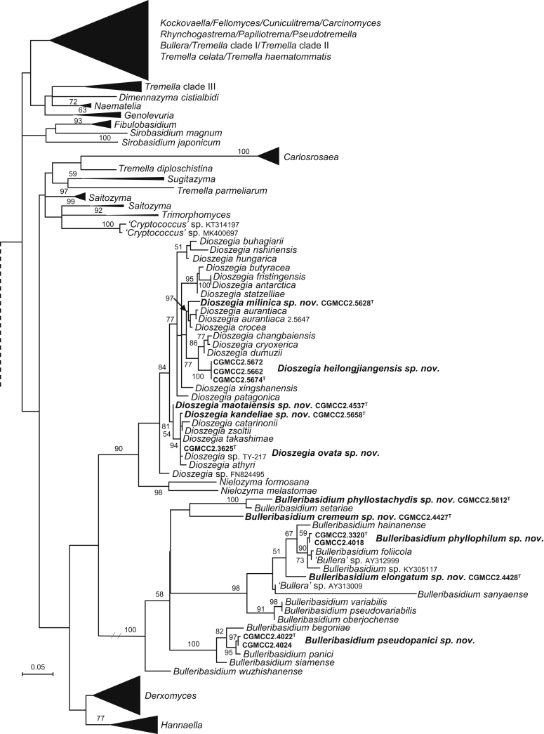 Fig. 3