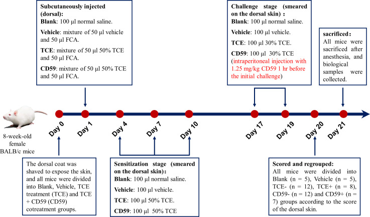 Figure 1