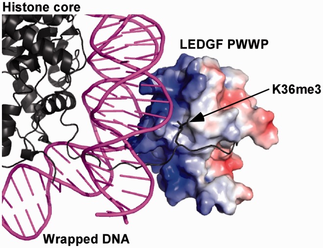 Figure 6.