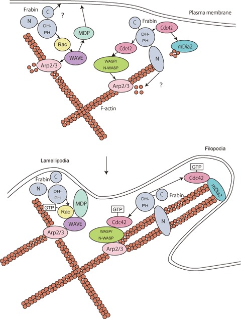 Fig. 3