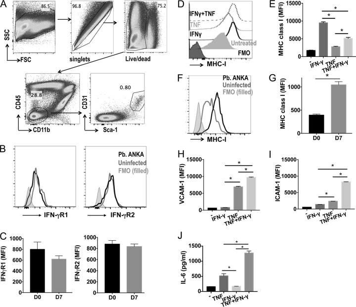 FIG 6